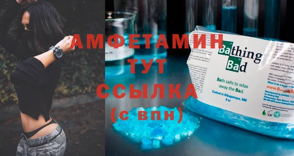 прущие грибы Россошь
